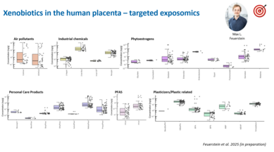 This image illustrates targeted exposomics measurements of xenobiotics in human placenta, showing concentration distributions for air pollutants, industrial chemicals, phytoestrogens, personal care products, PFAS and plastic-related compounds.