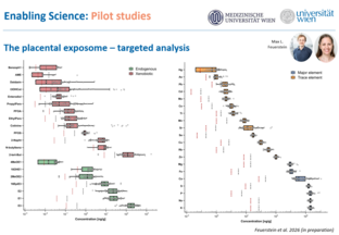 Graphic depicting the pilot study "The placental exposome - targeted analysis"