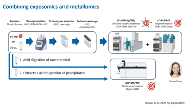 Graphic depicting the applied workflow for combined analysis of blood and placenta samples: sample preparation is followed by targeted and non-targeted LC-MS/MS analysis of organic compounds and ICP-MS/MS multi-metal analysis.