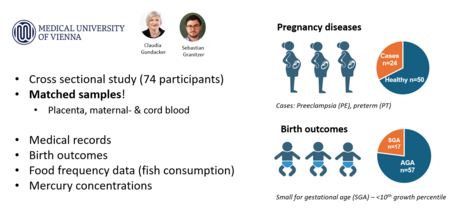 Graphic depicting the pilot study "The exposome and birth outcomes"