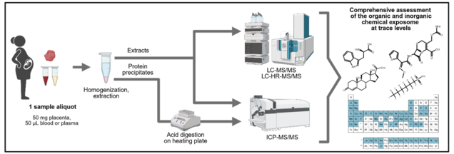 Graphic depicts the applied integrated ICP-MS/MS, LC-MS/MS and LC-HRMS workflow enabling trace analysis of organic and inorganic chemicals from small sample volumes (50 µL blood or plasma, or 50 mg placenta), including non-targeted analysis to extend the covered chemical space.